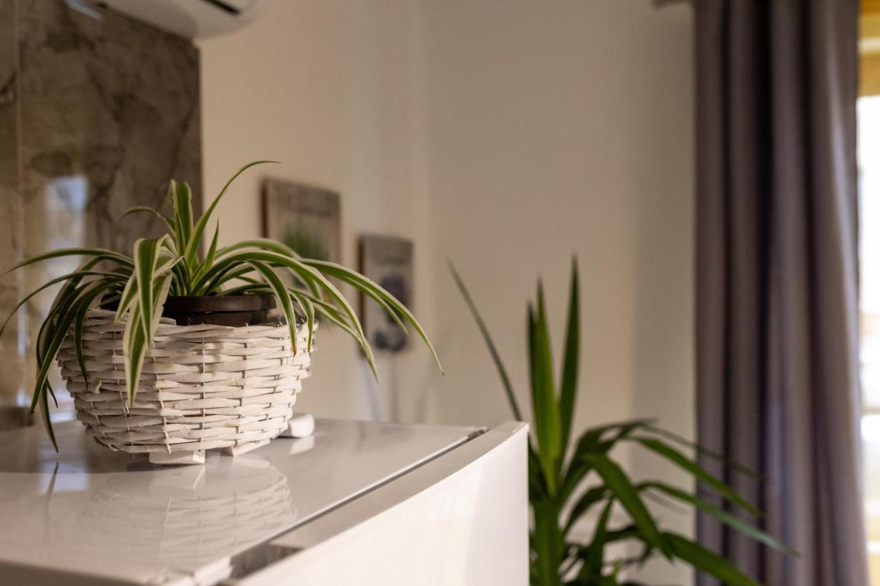 Studio Apartman Planb, Self Check In Osijek Buitenkant foto
